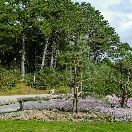 Lägenhet In Cuxhaven
